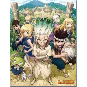 Dr. Stone Anime Key Art Sublimation Throw Blanket