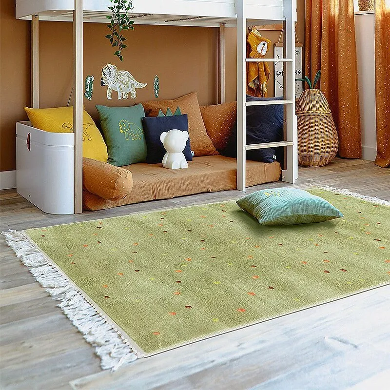 Tassel Carpets for Living Room